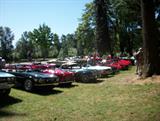 Borst Park Centralia Picnic 2013 015